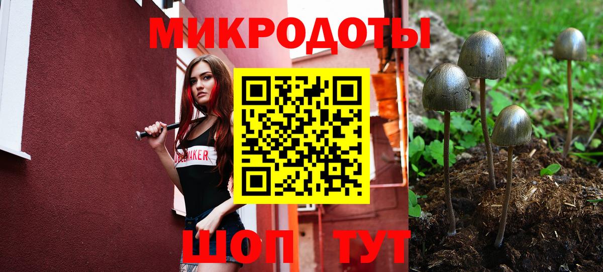 Сарапул  Псилоцибиновые грибы Psilocybe  Вход с VPN 