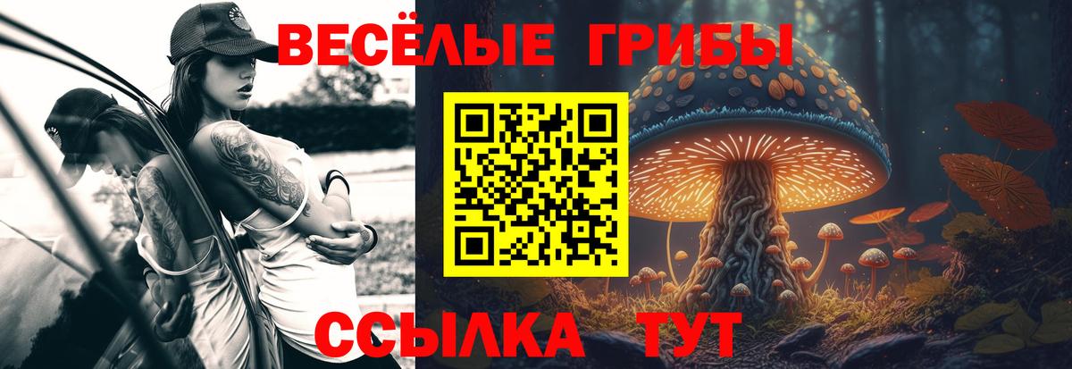 Галлюциногенные грибы GOLDEN TEACHER Сарапул